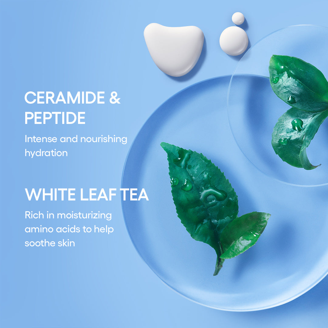 Icons To Go | Korean Mini Skincare Travel Set | LANEIGE