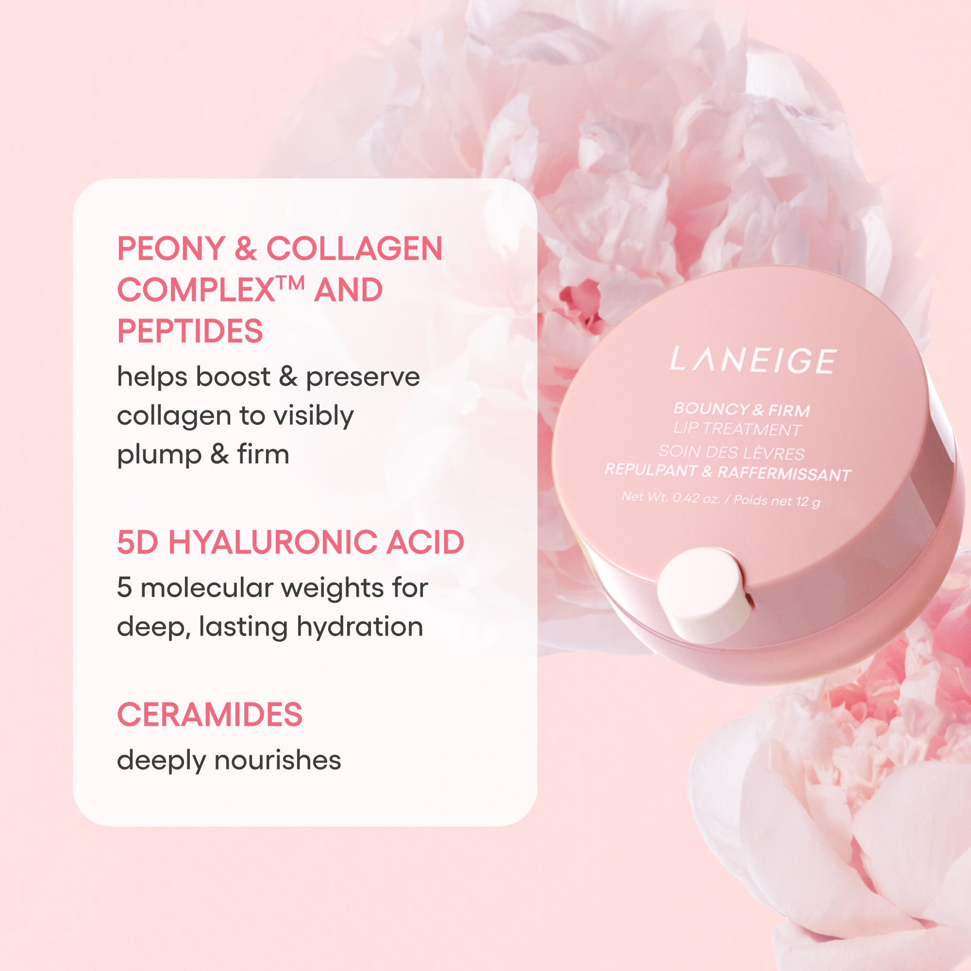 Bouncy & Firm Bundle | LANEIGE