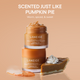 Enlarge image of Pumpkin Pie