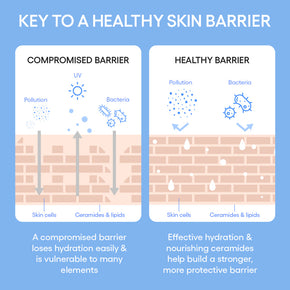 Cream Skin Toner & Moisturizer benefits