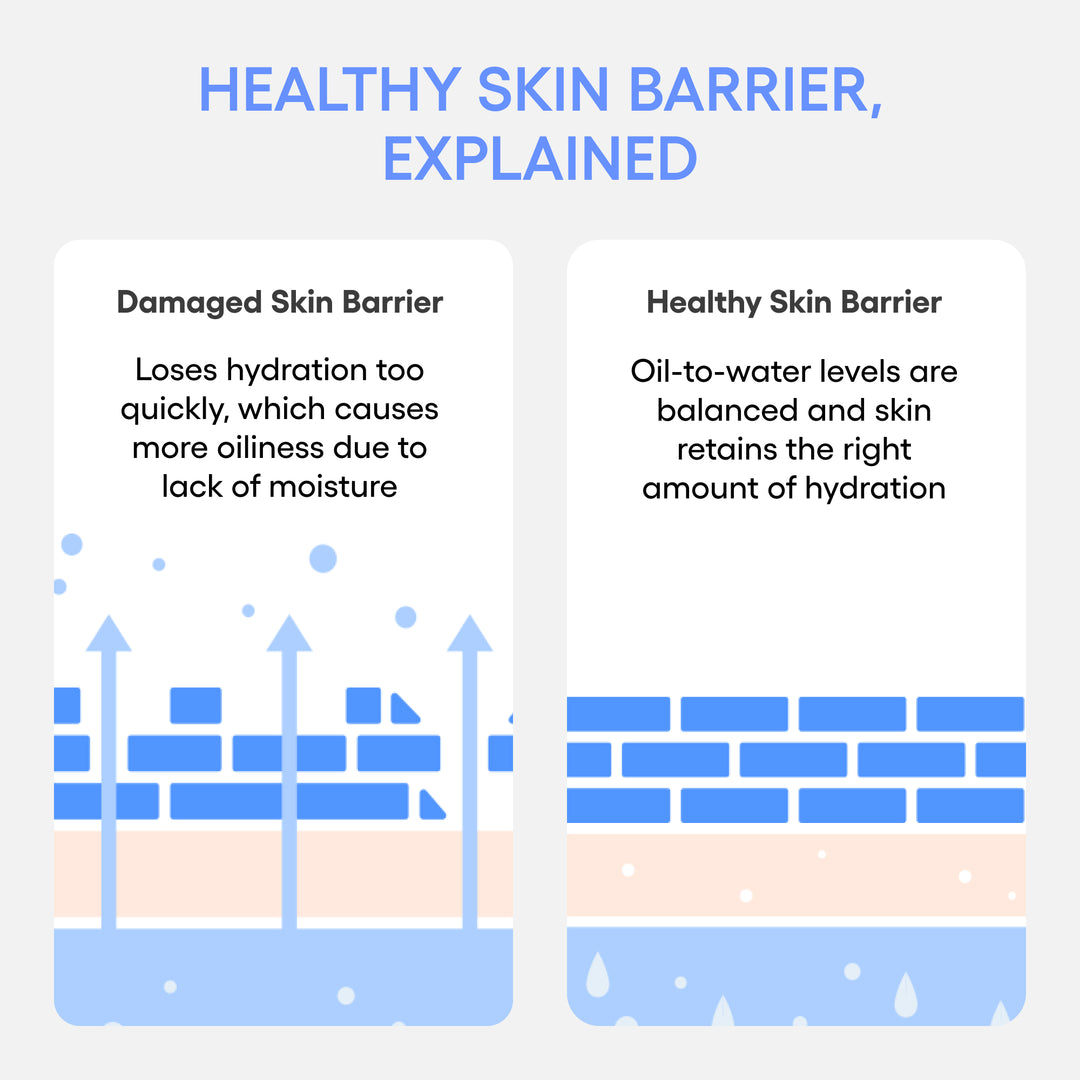 Ceramides in Moisturizers: How They Repair Your Skin Barrier Explained Ceramides in Moisturizers: How They Repair Your Skin Barrier Explained