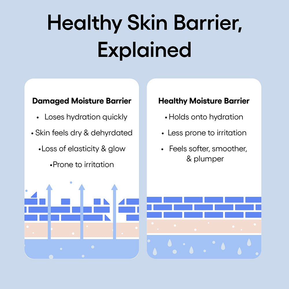 Healthy Skin Barrier infographic