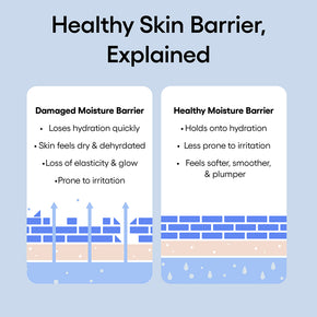 Healthy Skin Barrier infographic