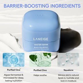 Water Bank Blue Hyaluronic Intensive Moisturizer ingredients